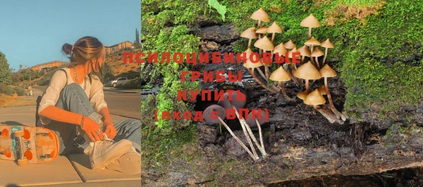 бутират Инсар
