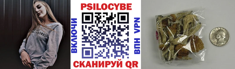 Купить где  Завитинск  Псилоцибиновые грибы Psilocybine cubensis 